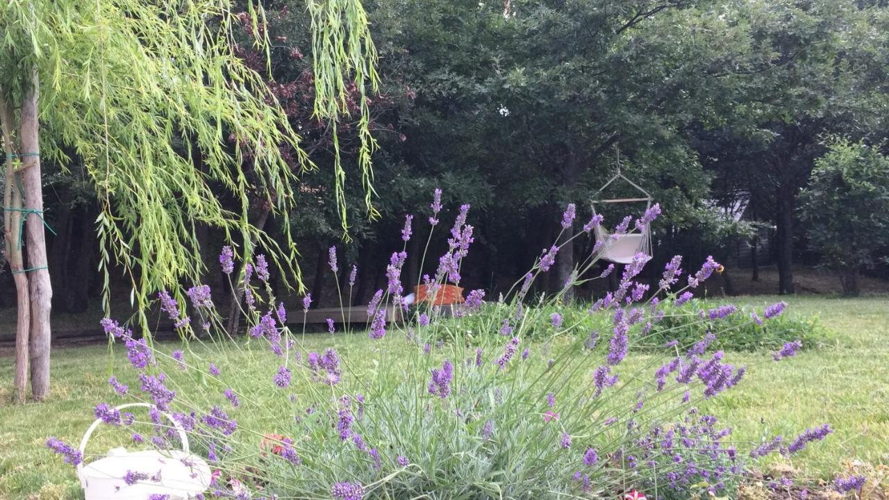 Vieniacasaccadia Bed & Breakfast Exterior photo
